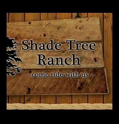 Shade Tree Ranch on EquineNow
