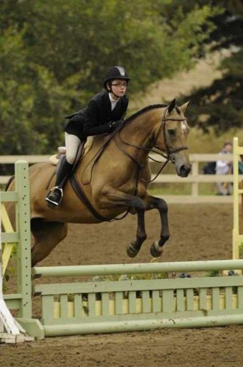 Glenview Farm Patti Kiersted on EquineNow