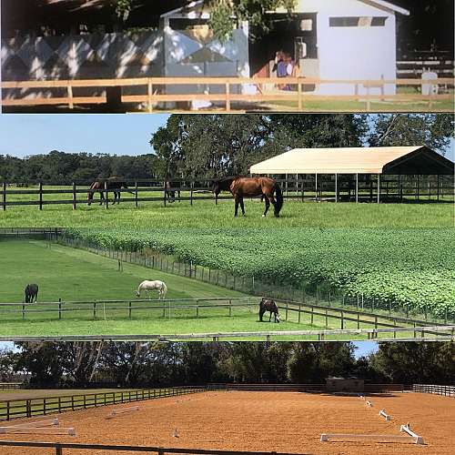 Under The Oaks Equestrian Center on EquineNow