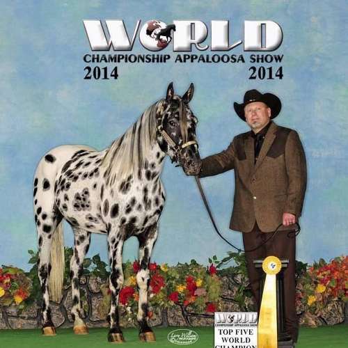 Mount Hope Stables on EquineNow