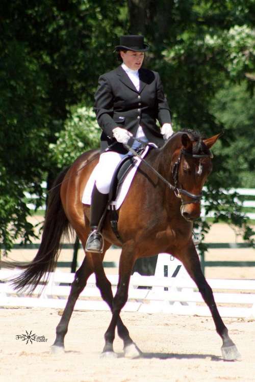 Grace Farms MN, Inc. on EquineNow