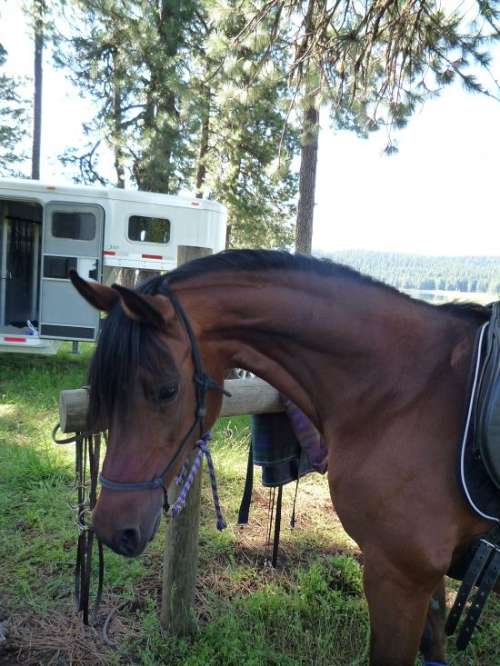 Horse Property For Sale In Medford Oregon Horse Property For Sale In Medford Oregon