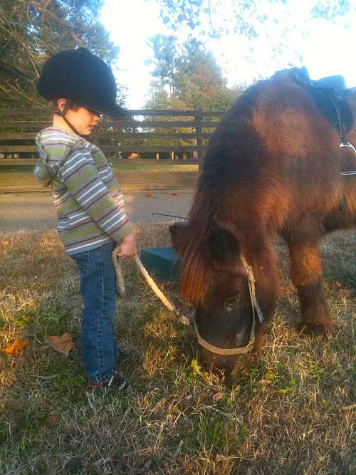 Boundary Stables Middleburg VA on EquineNow