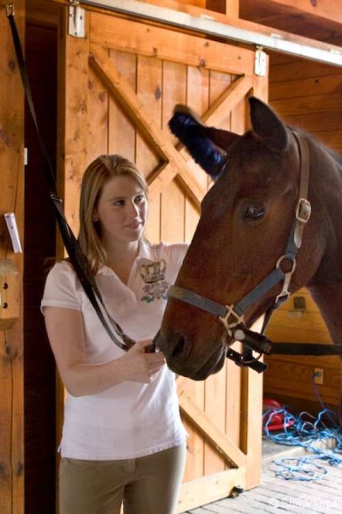 Walnut Hill Farm on EquineNow