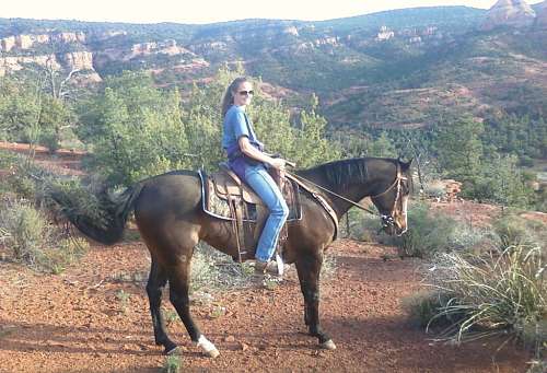 Arizona's All Around Horses on EquineNow