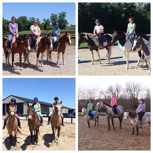 Fantasia Farm on EquineNow