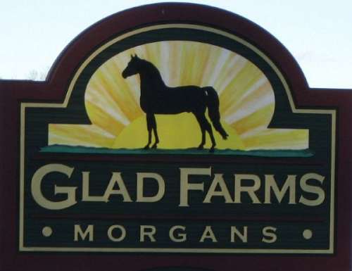 GLAD FARMS MORGANS on EquineNow