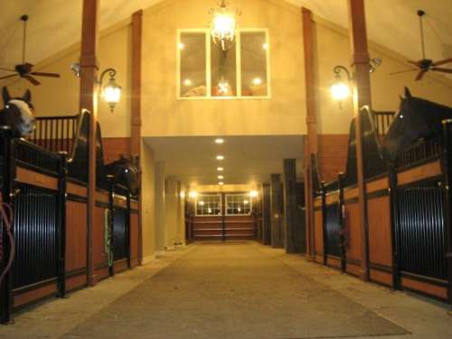Gallery Image 1