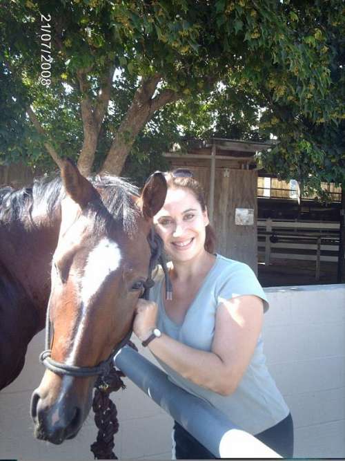 Horses Training in Harmony on EquineNow
