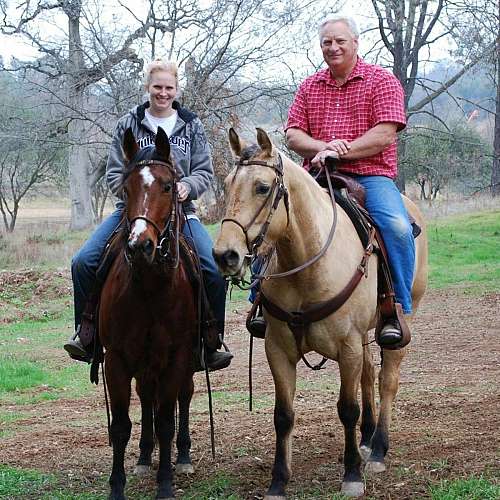 Meadowbrook Equestrian Center on EquineNow