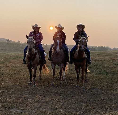 Double Hocker Ranch Double Hocker Ranch on EquineNow