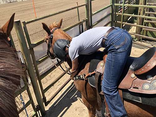 Lazy Ranch on EquineNow