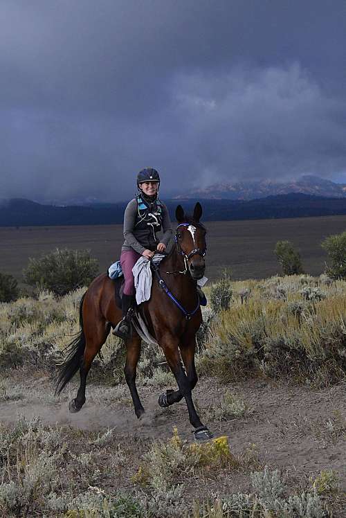 Summit Stables Utah on EquineNow