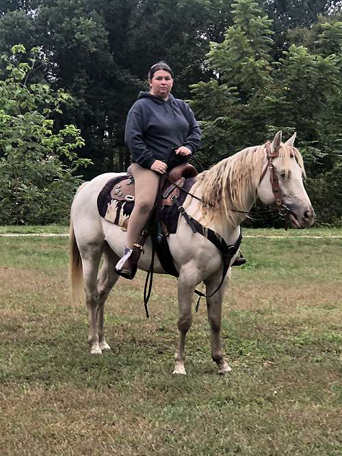 Lone oak livestock on EquineNow