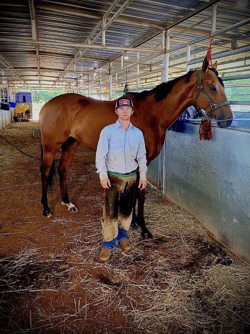 J.S. Farrier Service on EquineNow