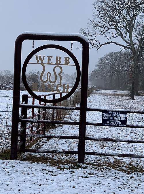 b Ranch on EquineNow