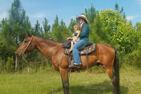 Quarter Horse Gelding - Ranch & Trail Video!