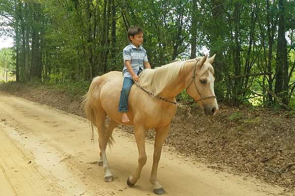 Kid Safe Gorgeous Palomino Video