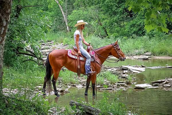 Nice AQHA Bay Mare, Professional Training, Work Cattle, Trails, Show