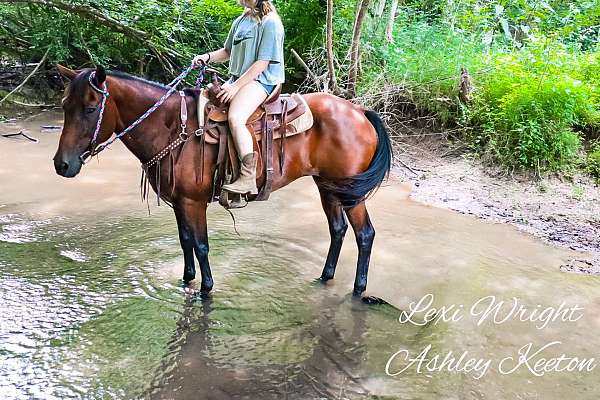 Sticky Trail Horse