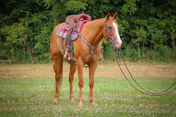 Super Nice AQHA Sorrel Mare, Dash Ta Fame Granddaughter, Smart, Athletic