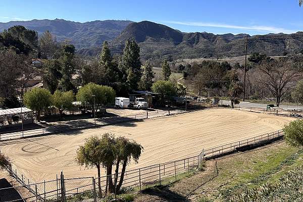 Horse Boarding