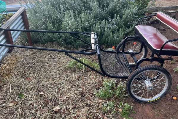 Easy Entry Miniature Horse Cart