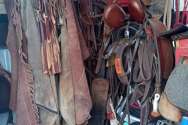 Training barn closeout-tack and 2 horse GN trailer