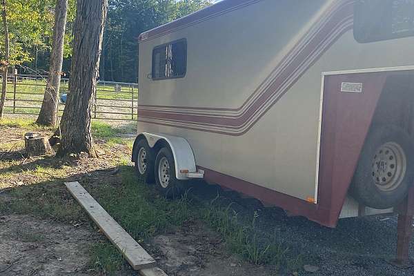 2 Horse Trailer