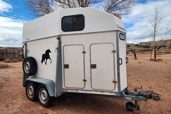 1999 Brenderup Royal TC 2-horse trailer