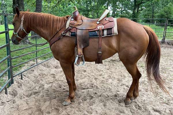 Genuine Billy Cook Cutting Saddle