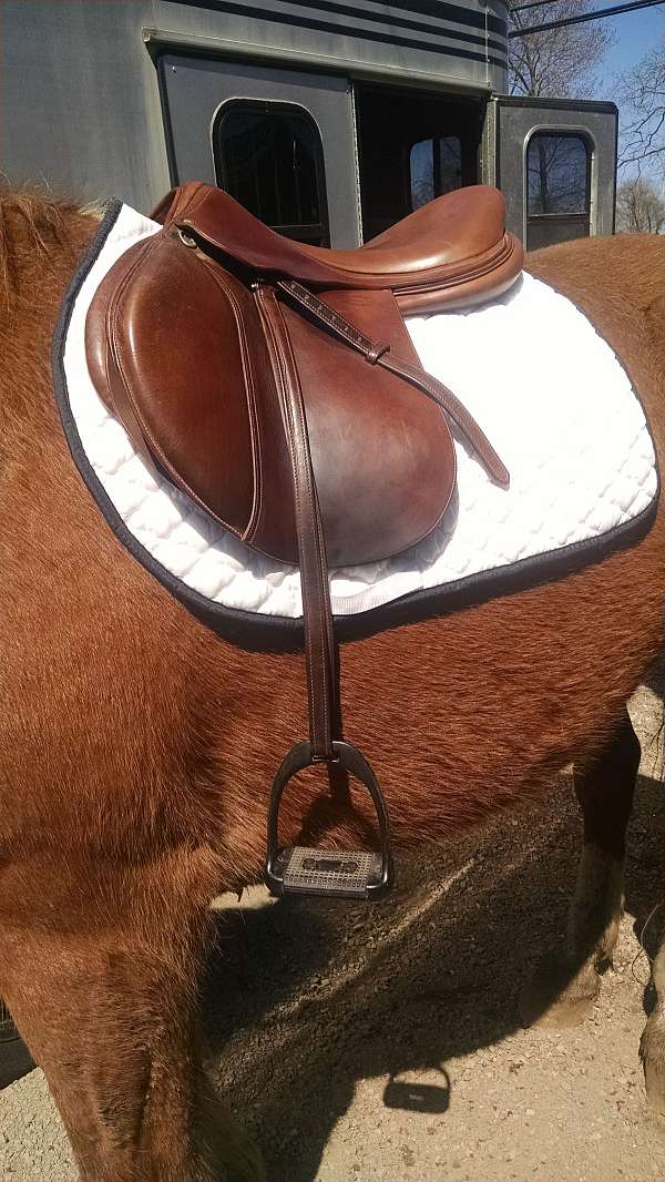 19-inch-eventing-saddles