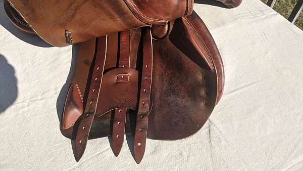 english-saddles-in-stratford-ct