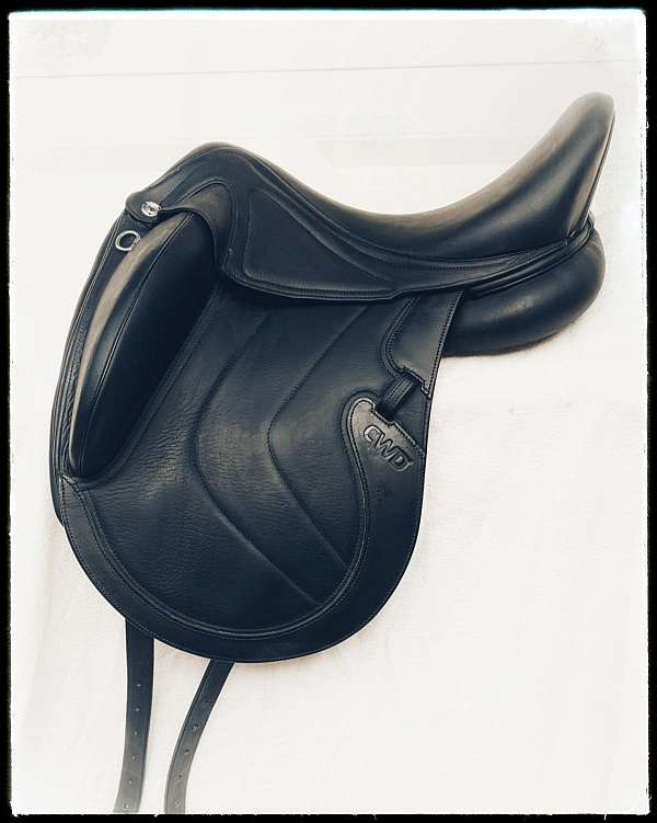 16-inch-english-saddles-in-sunland-ca