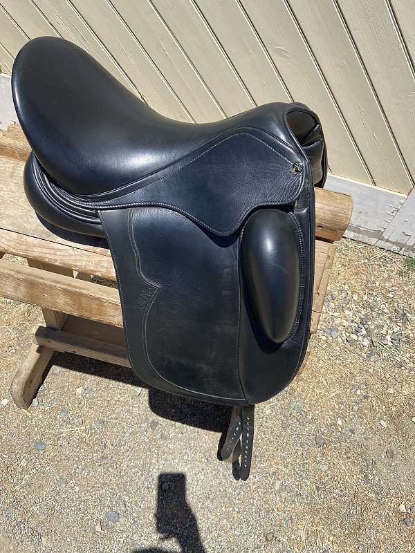 black-warmblood-horse-saddles-for-sale