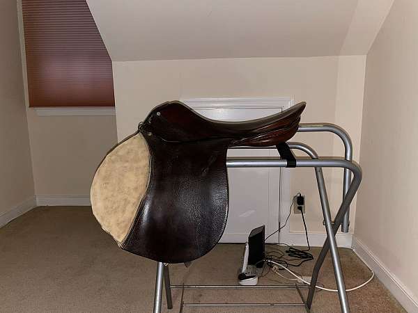 english-saddles-in-lothian-md