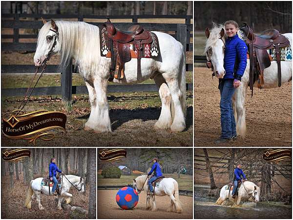 kid-safe-gypsy-vanner-horse