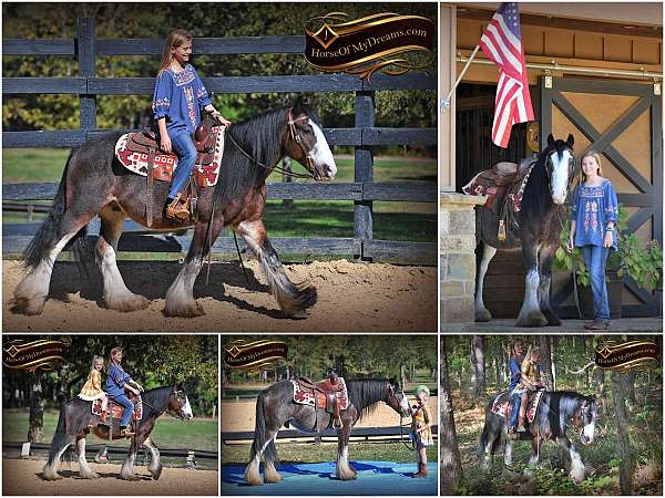 kid-safe-gypsy-vanner-horse