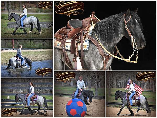 rodeo-gypsy-vanner-pony