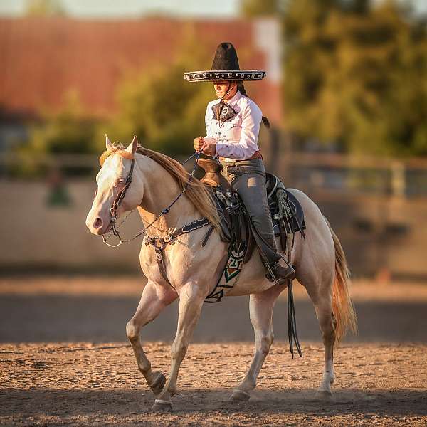uset-horse