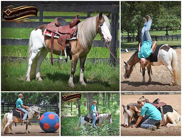 kid-safe-pony