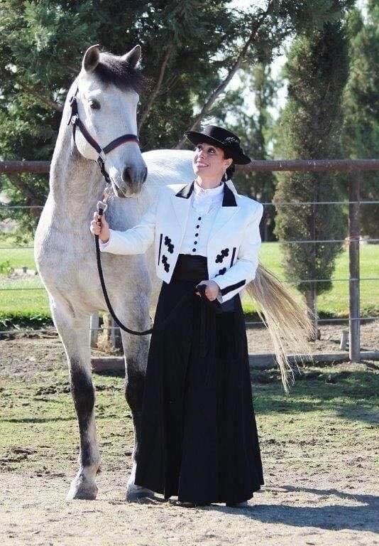 available-lusitano-horse