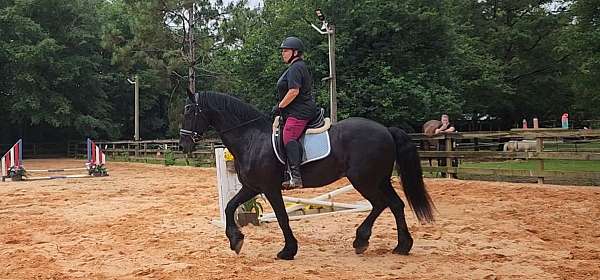 baroque-friesian-horse