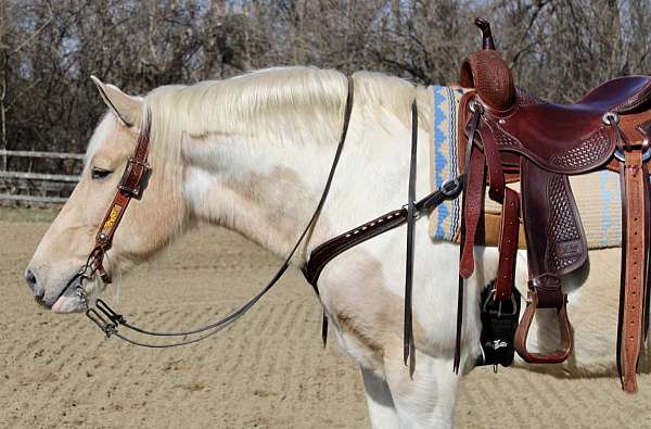 palomino-white-draft-horse