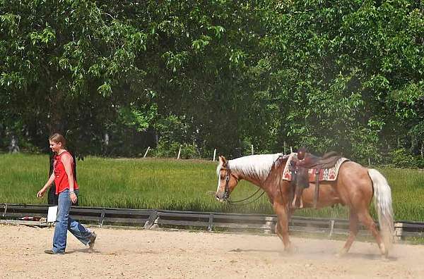 sweet-quarter-donkey