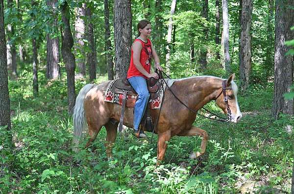 roping-quarter-donkey