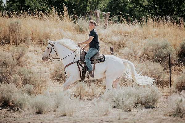 spots-during-summer-on-chest-face-horse