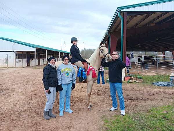 star-strip-snip-sock-horse