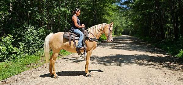 sidesaddle-kentucky-mountain-horse
