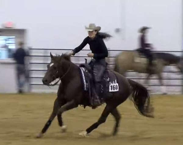 easy-to-ride-filly